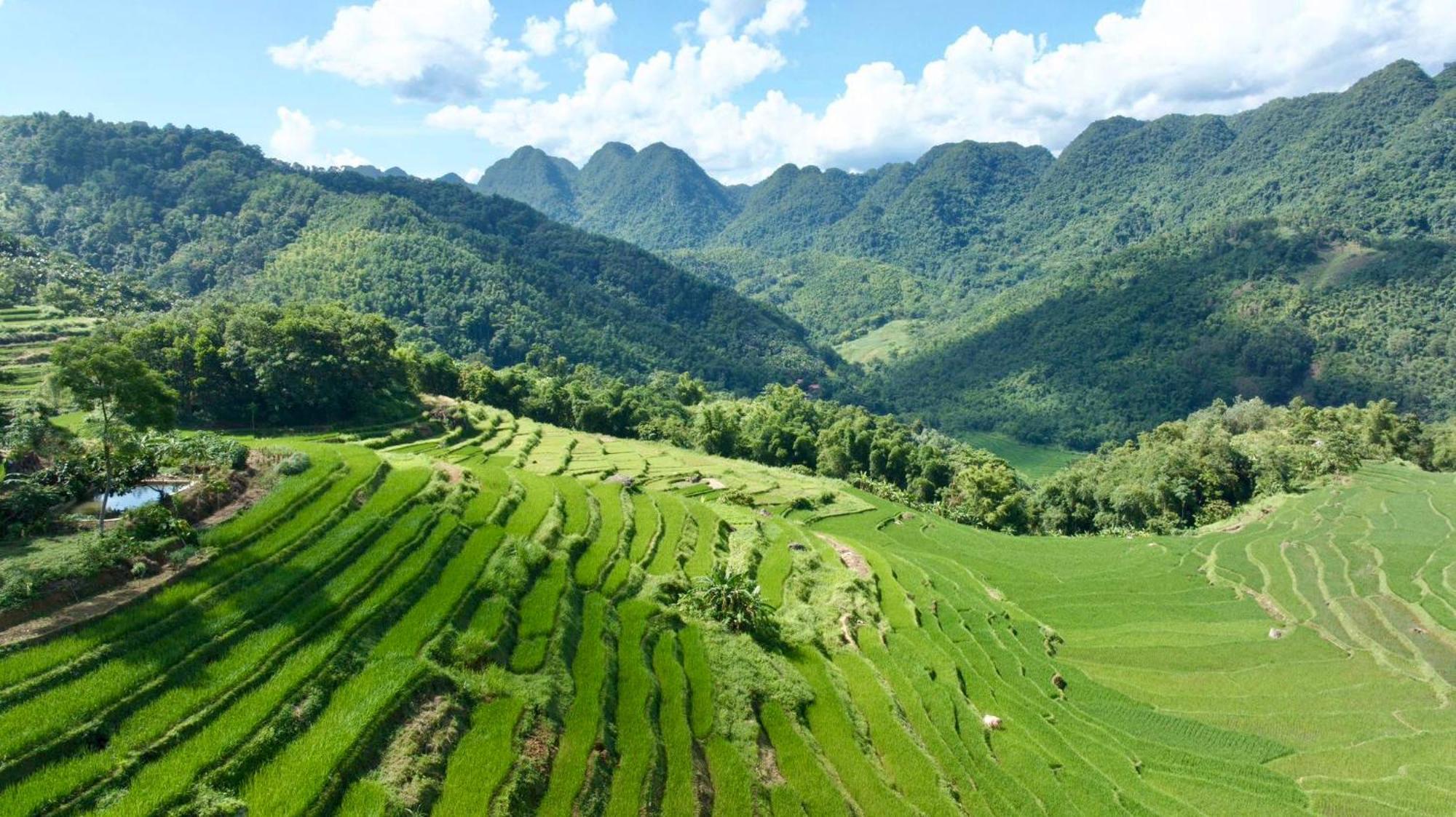 ปูลวง อีโคการ์เดน Hotel Pu Luong ภายนอก รูปภาพ